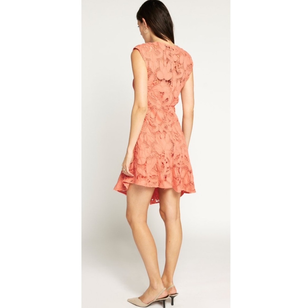 Joie Chantelle Eyelet Dress. - Picture 4 of 11